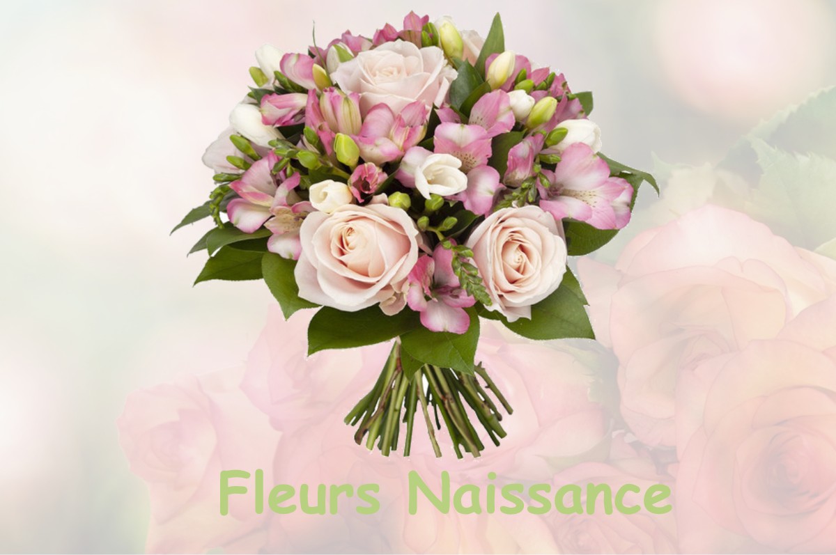 fleurs naissance MAUVES-SUR-LOIRE